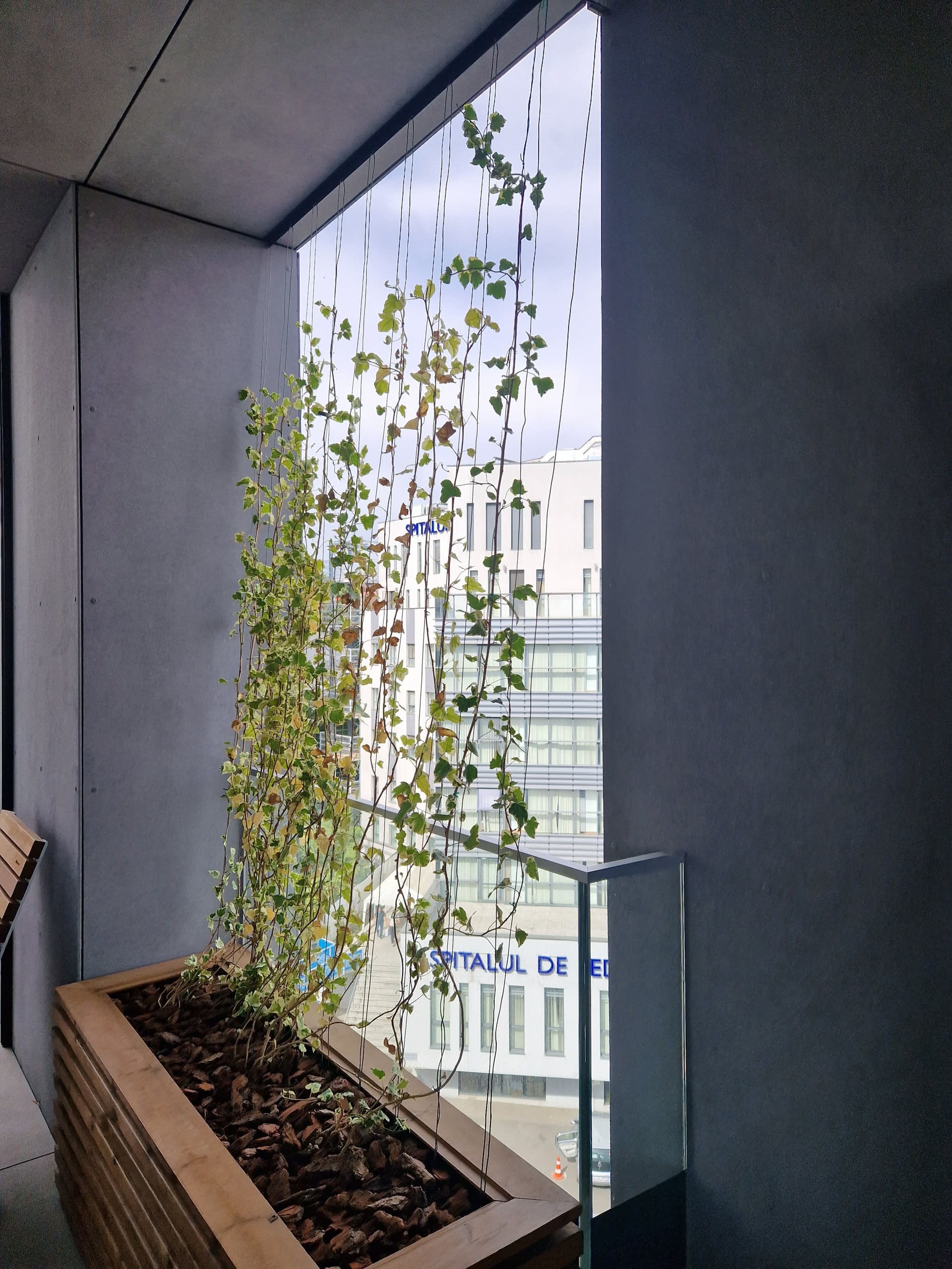 Fenster Services